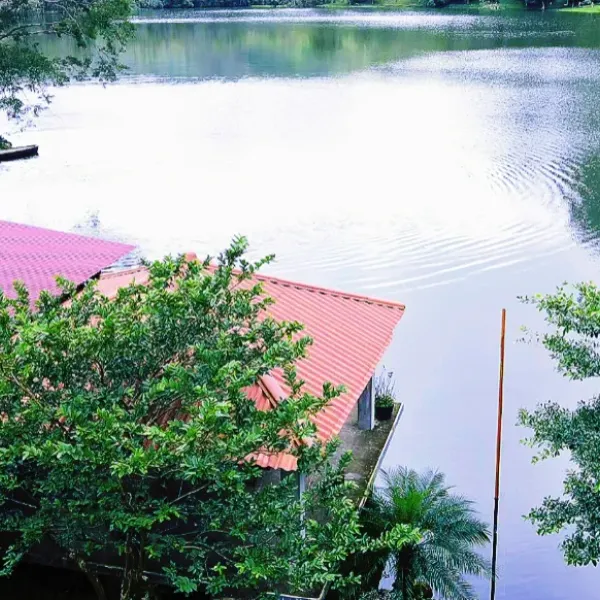 Laguna de San Carlos