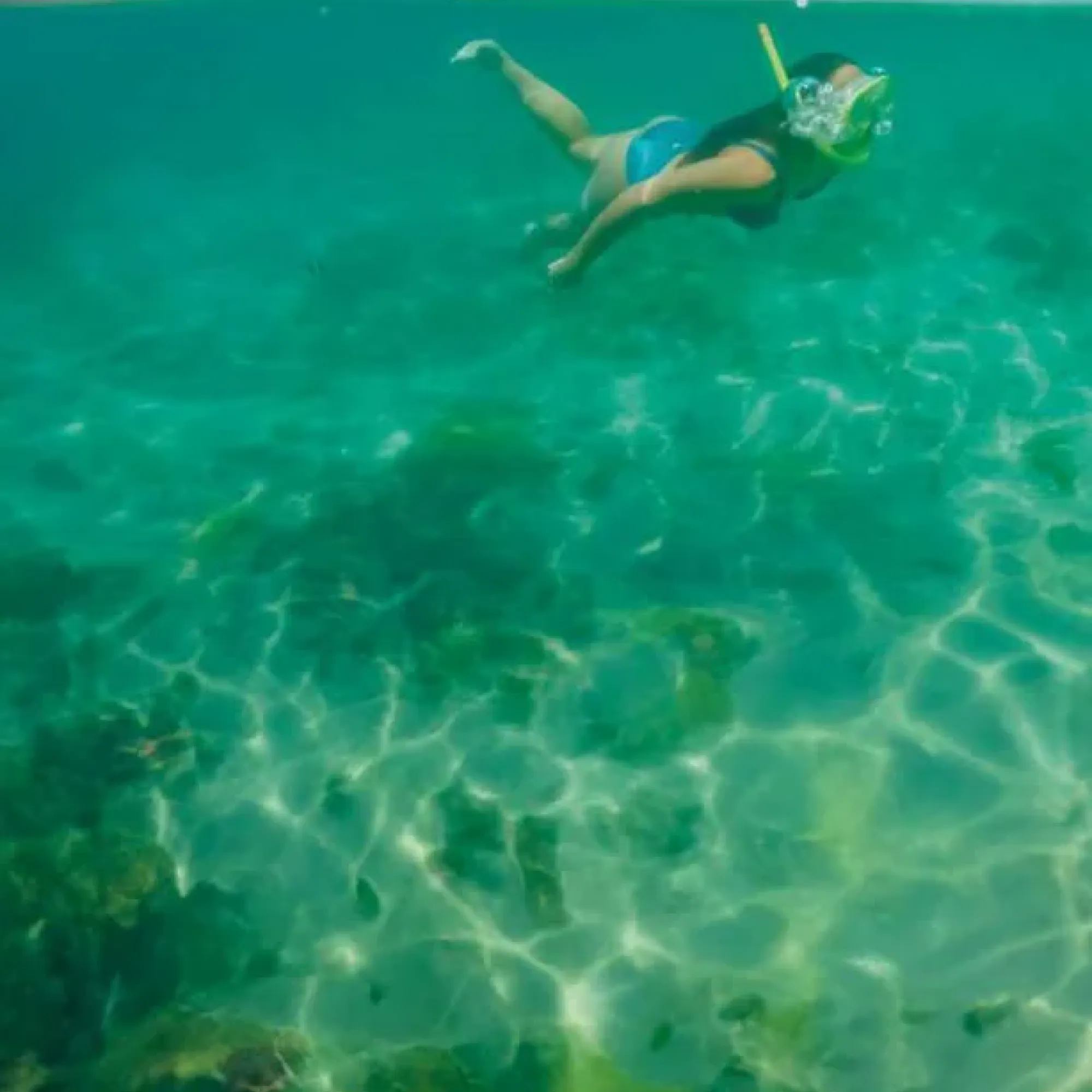 Escape to Otoque and Boná Islands