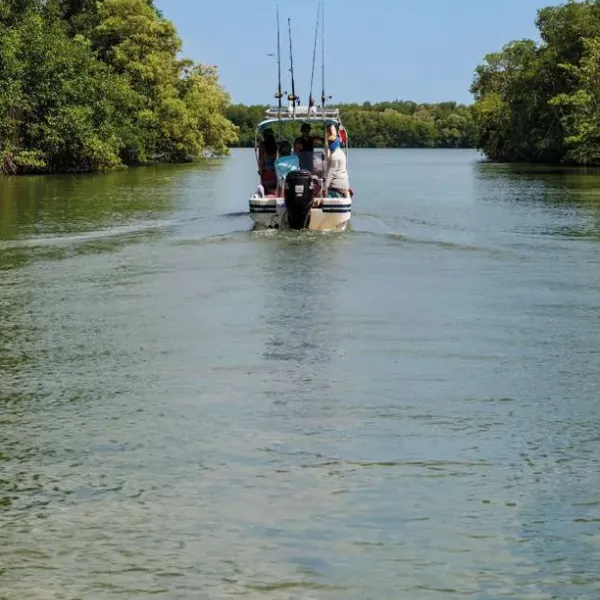Mangroves and Taborcillo Island