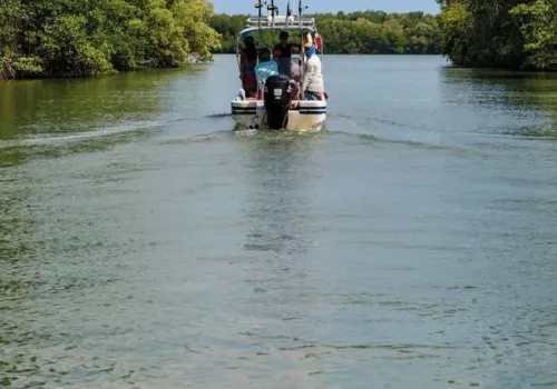 Mangroves and Taborcillo Island