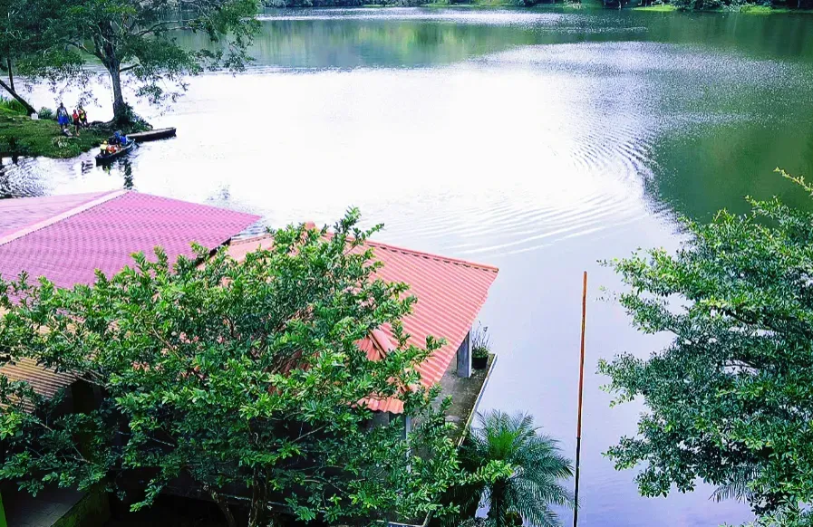 Laguna de San Carlos