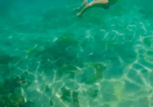 Escape to Otoque and Boná Islands