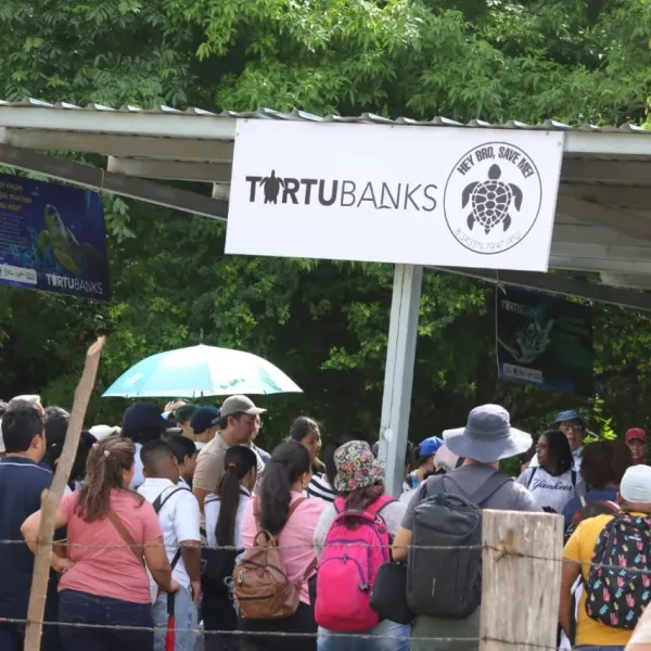 This is how the TortuBanks Hatchery rehabilitation day began 🐢🌿