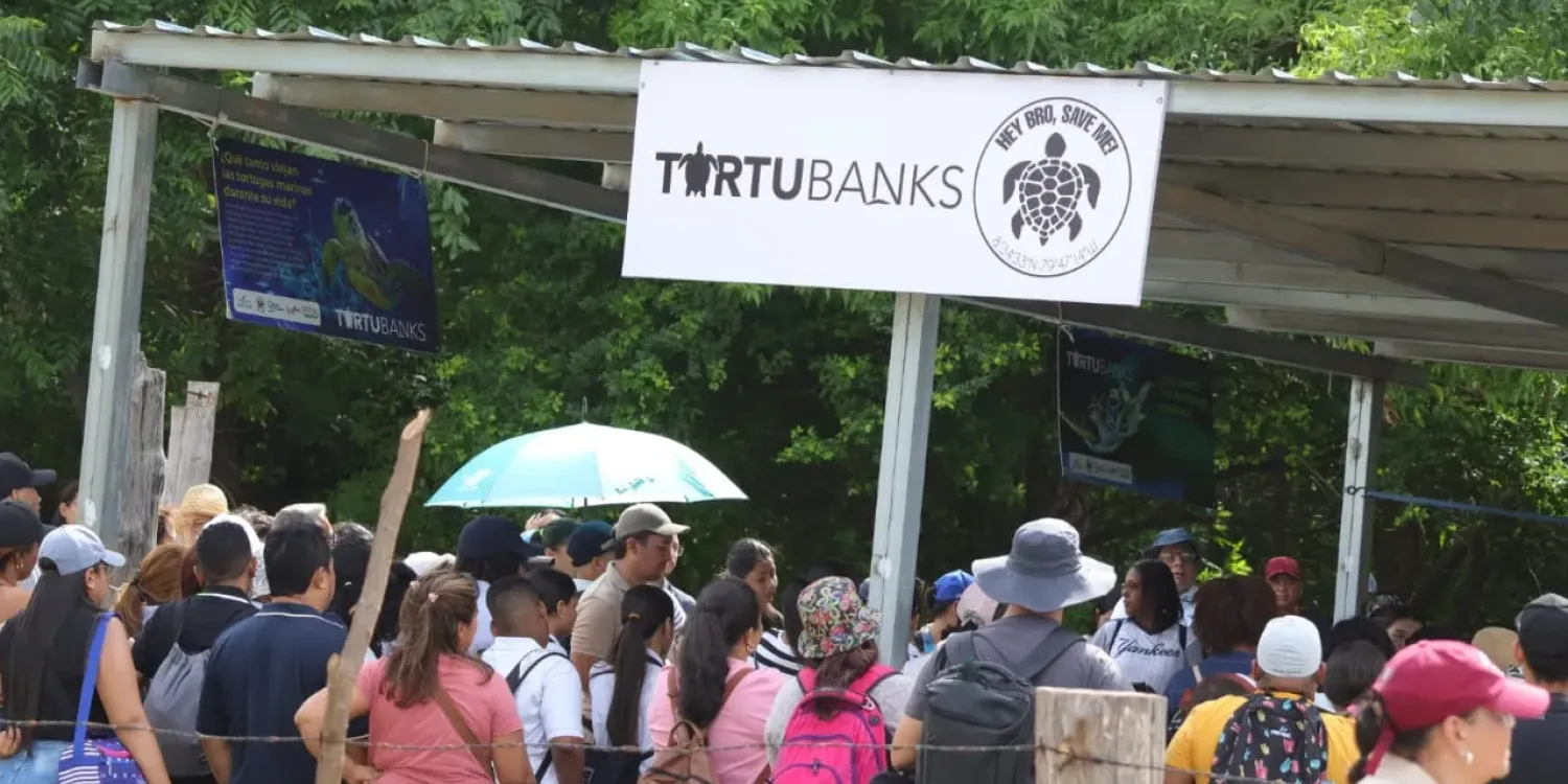 Así comenzó la jornada de rehabilitación del Vivero TortuBanks 🐢🌿