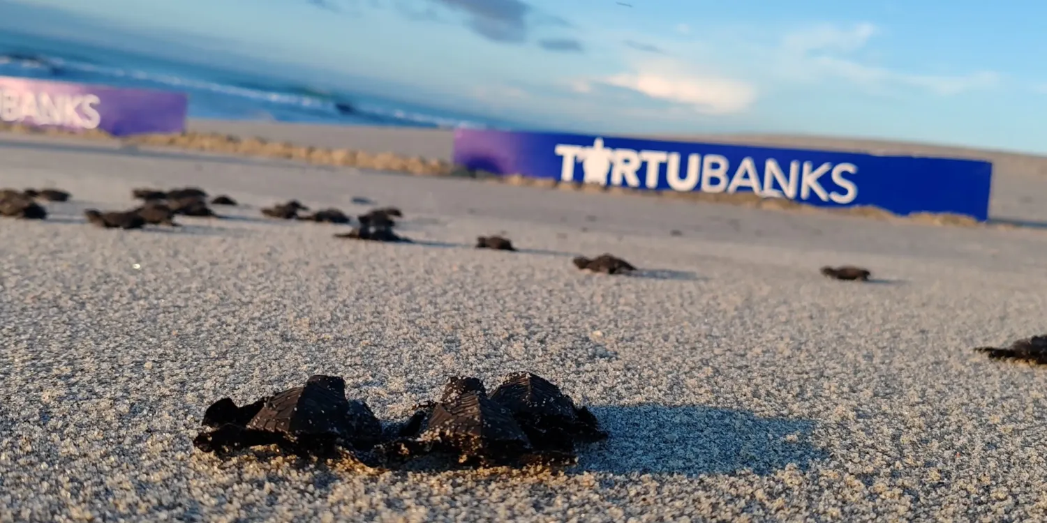 🌊 Sea parte de la inauguración del nuevo vivero de tortugas marinas