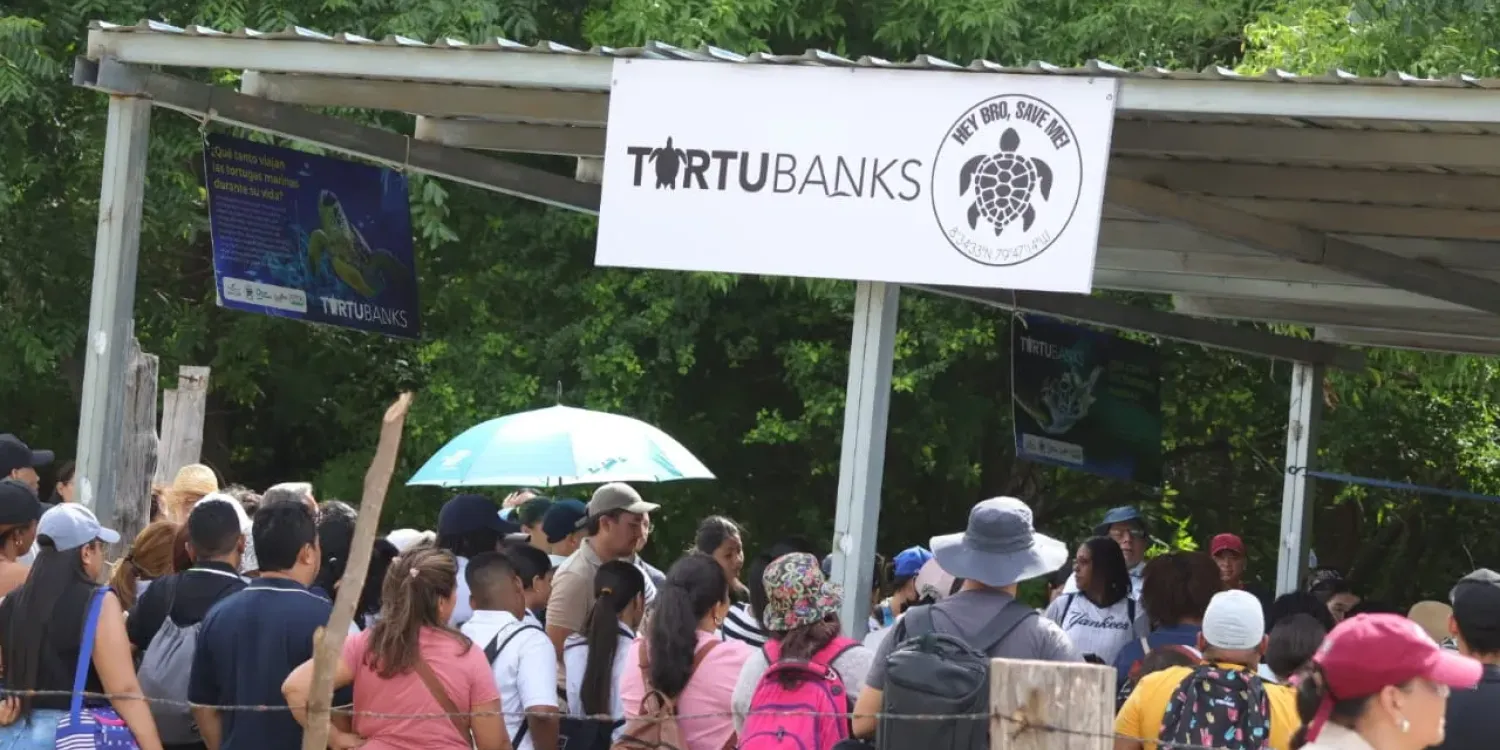 Así comenzó la jornada de rehabilitación del Vivero TortuBanks 🐢🌿