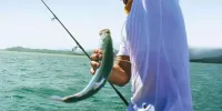 Sport Fishing Tour at Otoque and Boná Islands