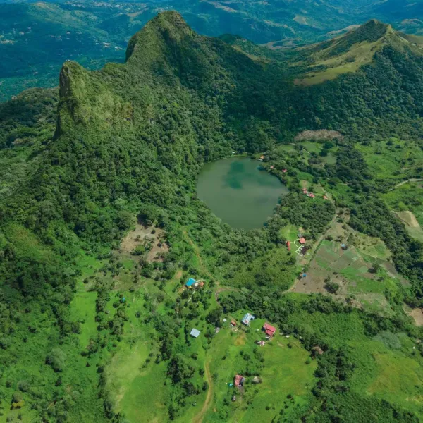 Pasadía en Laguna de San Carlos y Cerro Picacho