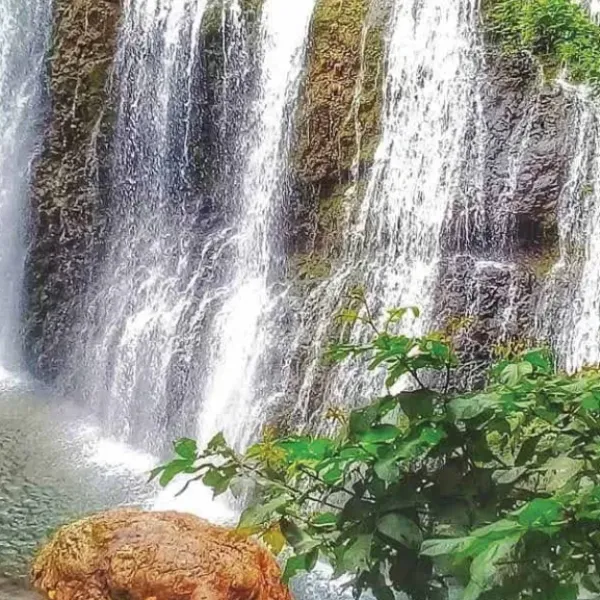 Waterfall Adventure «Las Filipinas»